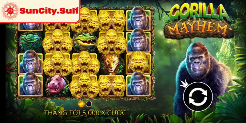 Cơ chế vận hành của slot game Gorilla Mayhem SunCity