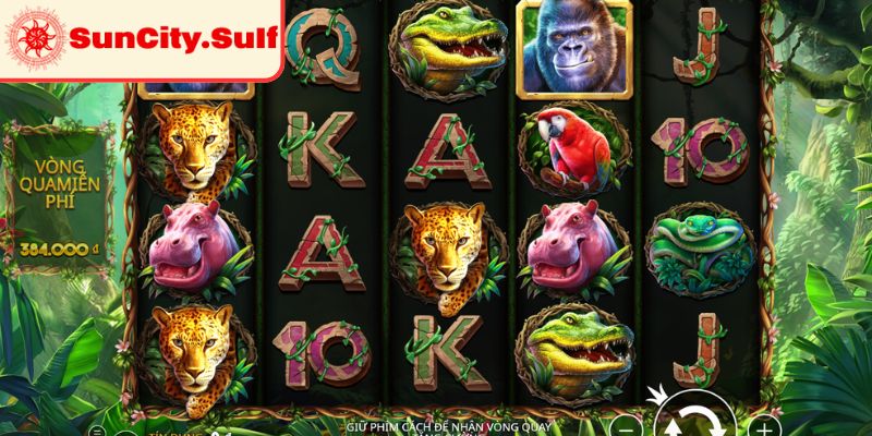 Tận dụng triệt để chế độ Quay Nhanh