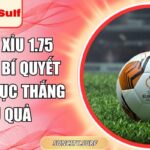 Kèo tài xỉu 1.75 SunCity